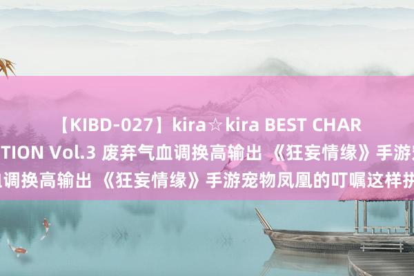 【KIBD-027】kira☆kira BEST CHARISMA☆MODEL☆COLLECTION Vol.3 废弃气血调换高输出 《狂妄情缘》手游宠物凤凰的叮嘱这样拼的吗？