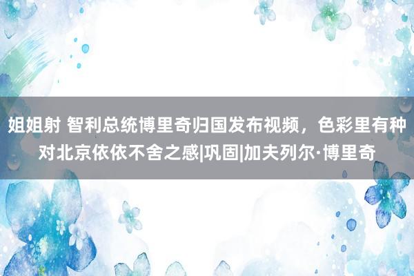 姐姐射 智利总统博里奇归国发布视频，色彩里有种对北京依依不舍之感|巩固|加夫列尔·博里奇