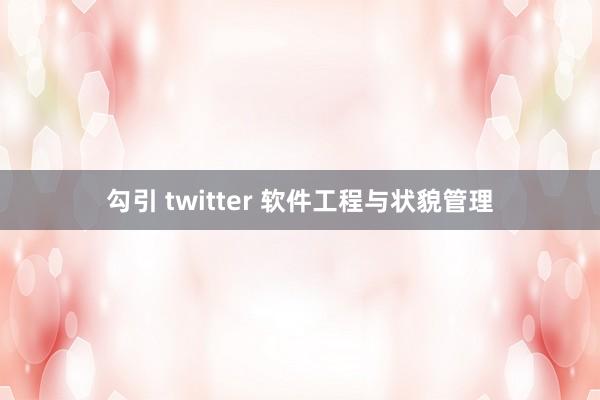 勾引 twitter 软件工程与状貌管理